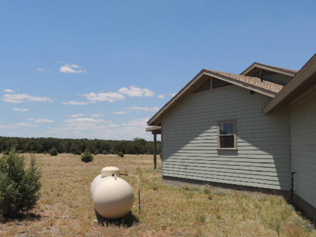 1866 Simpson Wl Road Show Low, AZ 85901 - Photo 44 of 47 Gallery Image 44