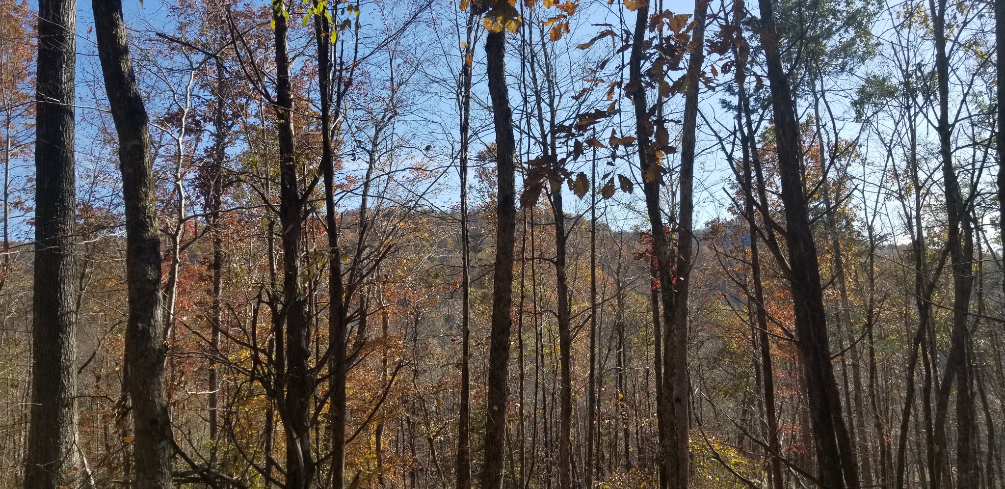 107 Ac Board Valley Road Sparta, TN 38583 - Photo 1 of 29 Gallery Image 1
