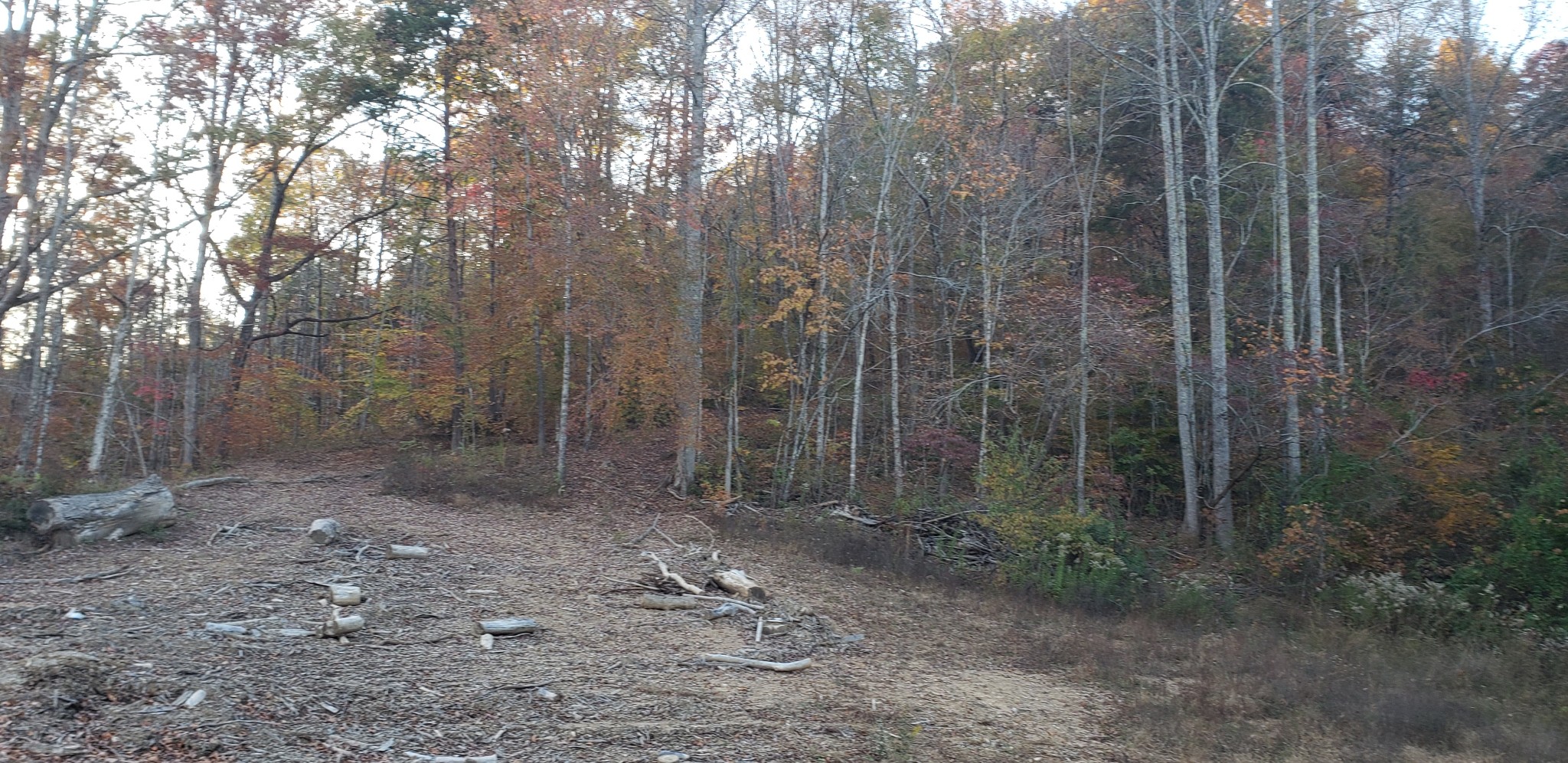 107 Ac Board Valley Road Sparta, TN 38583 - Photo 25 of 29 Gallery Image 25