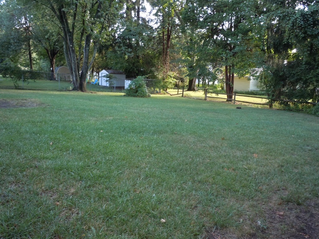 56 East Allen Ridge Road Springfield, MA 01118 - Photo 12 of 13 a view of a park with trees and grass
