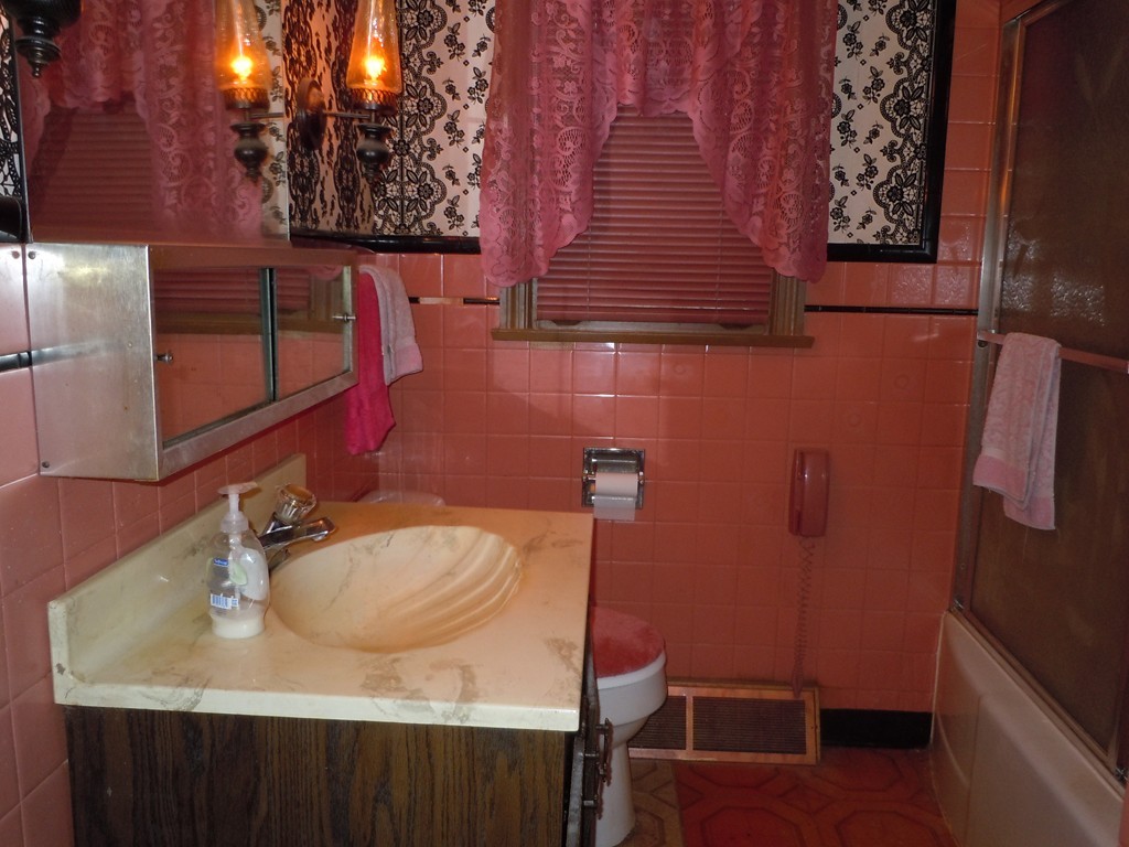 56 East Allen Ridge Road Springfield, MA 01118 - Photo 9 of 13 a bathroom with a sink and a mirror
