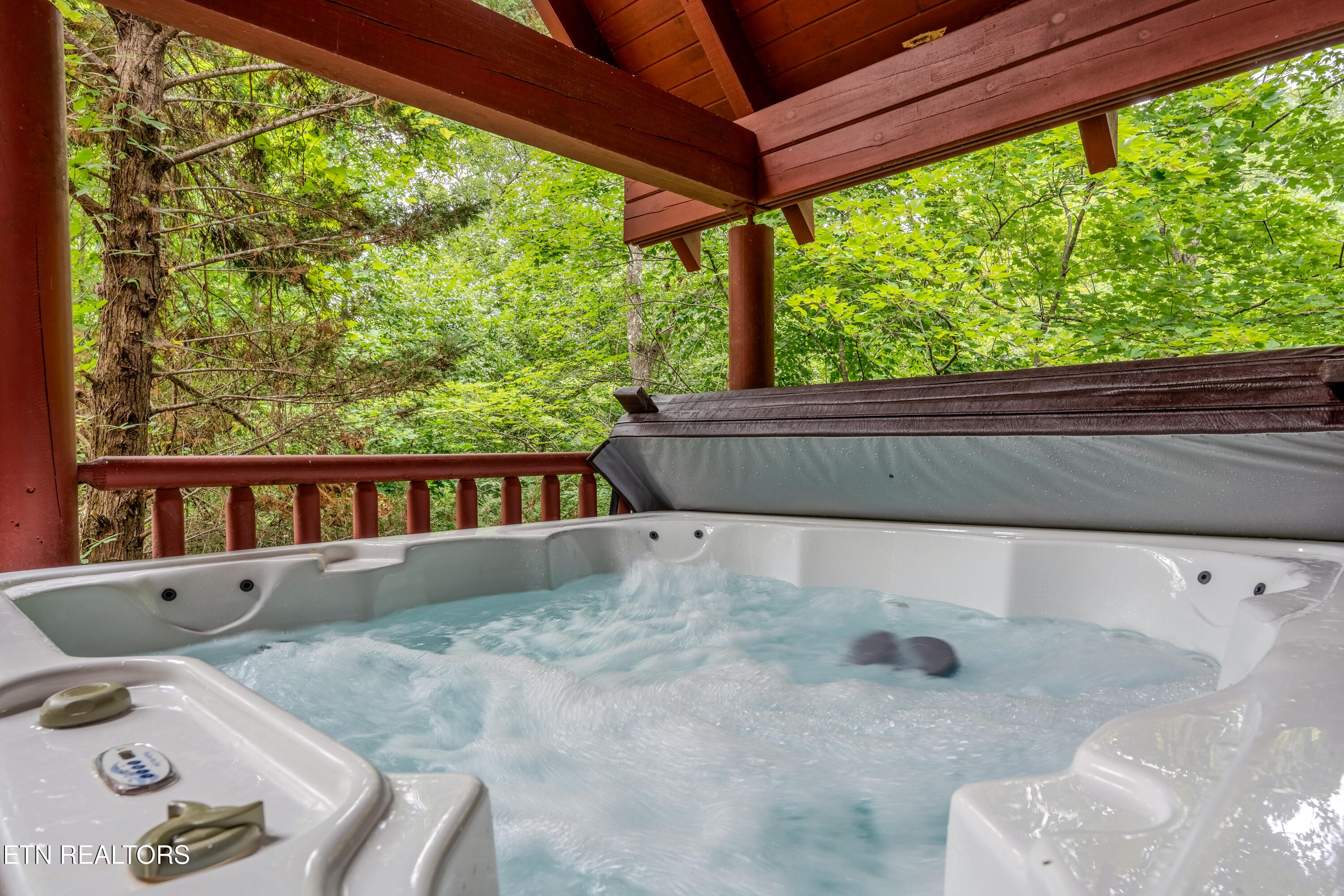 245 Edens Way Sevierville, TN 37876 - Photo 4 of 33 245EdensWay-8