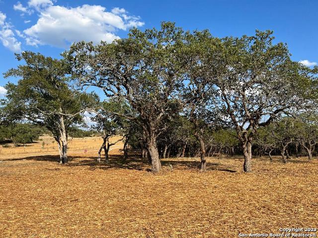 235 West Cambridge Road Wimberley, TX 78676 - Photo 1 of 27 a view of outdoor space with trees