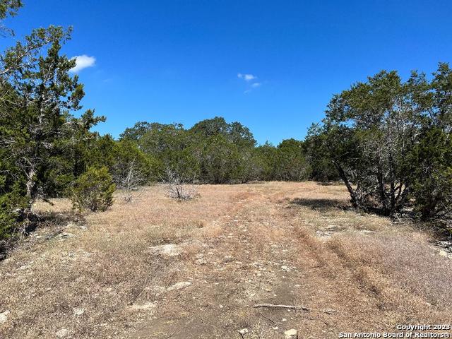 235 West Cambridge Road Wimberley, TX 78676 - Photo 11 of 27 a view of a yard with a tree