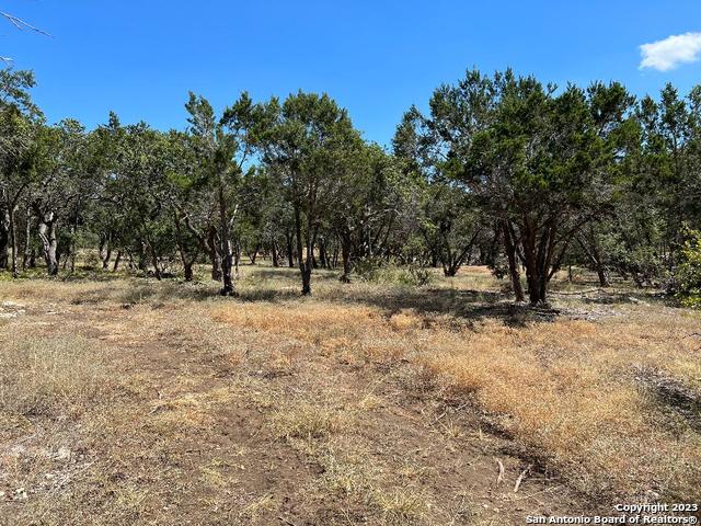 235 West Cambridge Road Wimberley, TX 78676 - Photo 13 of 27 a view of outdoor space with trees