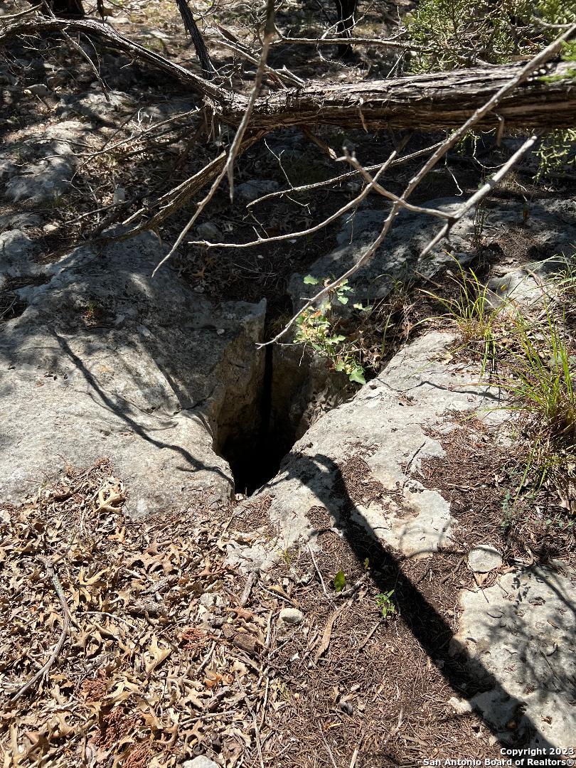 235 West Cambridge Road Wimberley, TX 78676 - Photo 16 of 27 a view of a backyard of the house