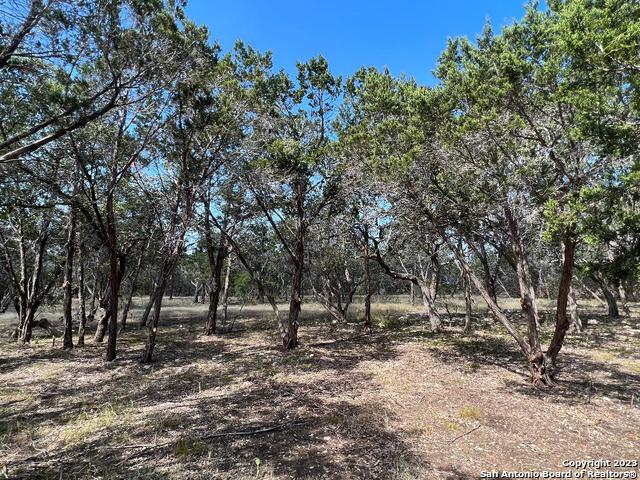 235 West Cambridge Road Wimberley, TX 78676 - Photo 19 of 27 a view of outdoor space with trees