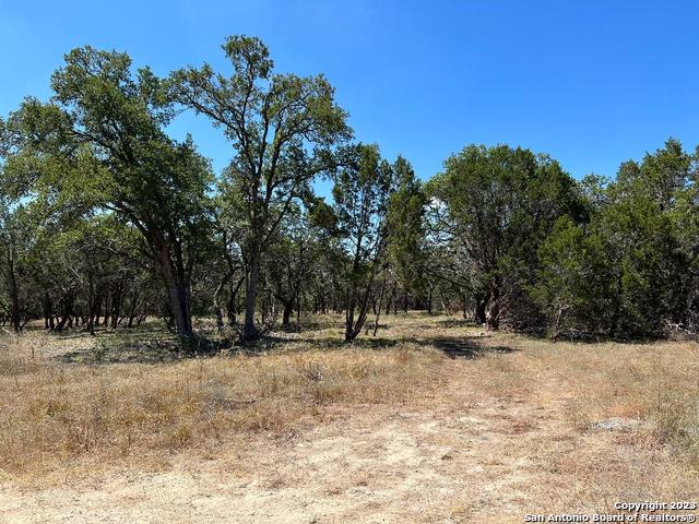 235 West Cambridge Road Wimberley, TX 78676 - Photo 2 of 27 a view of outdoor space with trees