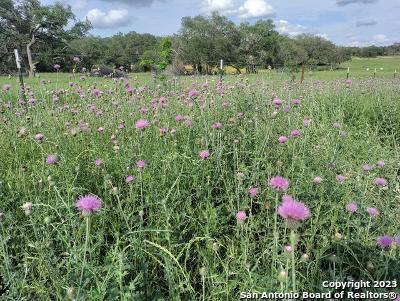 235 West Cambridge Road Wimberley, TX 78676 - Photo 21 of 27 a backyard of a house with a yard and tree s