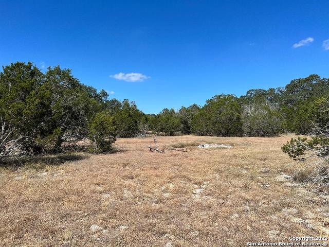 235 West Cambridge Road Wimberley, TX 78676 - Photo 22 of 27 a view of dirt field with trees in background