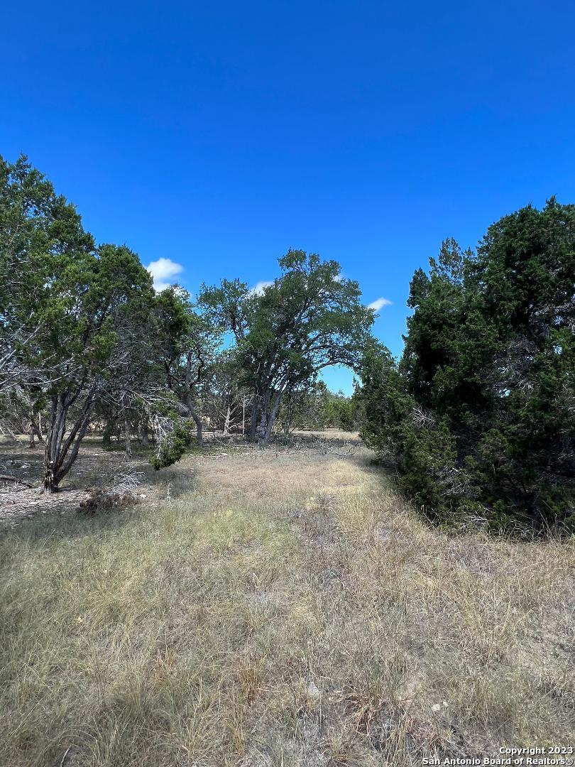 235 West Cambridge Road Wimberley, TX 78676 - Photo 24 of 27 a view of a yard with trees in the background