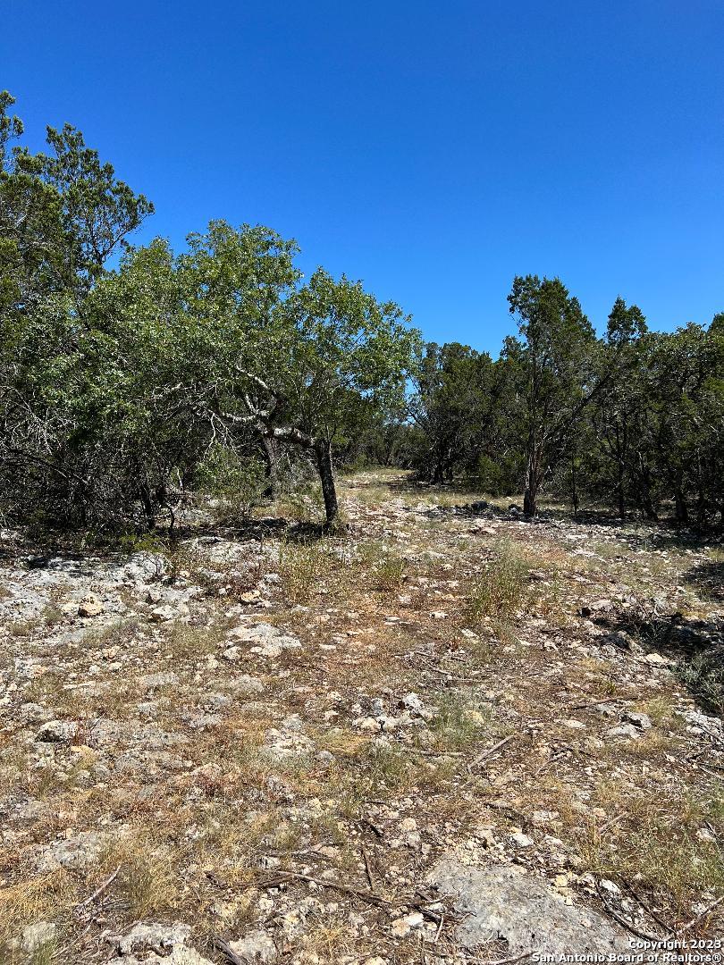 235 West Cambridge Road Wimberley, TX 78676 - Photo 25 of 27 a view of a dry yard with trees