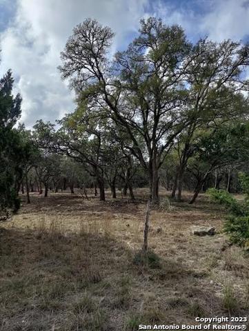 235 West Cambridge Road Wimberley, TX 78676 - Photo 26 of 27 a backyard of a house with lots of green space