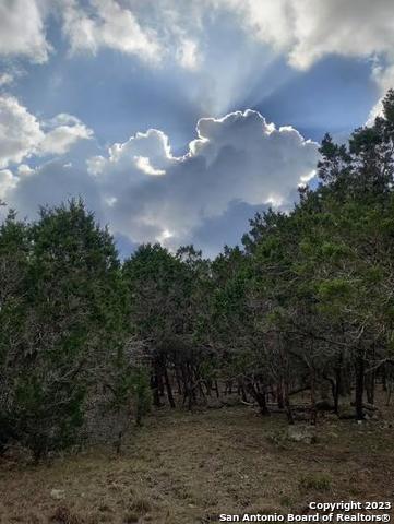 235 West Cambridge Road Wimberley, TX 78676 - Photo 27 of 27