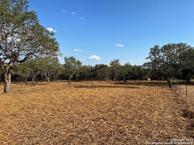 235 West Cambridge Road Wimberley, TX 78676 - Photo 3 of 27 a view of lake view