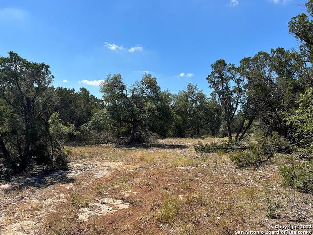 235 West Cambridge Road Wimberley, TX 78676 - Photo 4 of 27 a view of outdoor space with trees all around