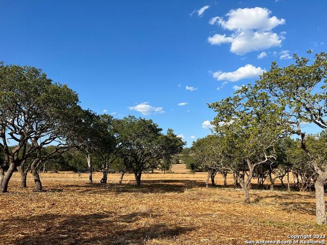 235 West Cambridge Road Wimberley, TX 78676 - Photo 6 of 27 a view of a yard with a tree