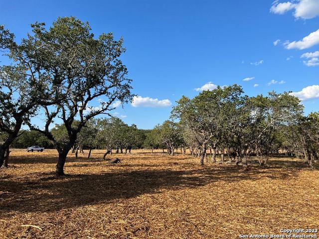 235 West Cambridge Road Wimberley, TX 78676 - Photo 8 of 27 a view of yard with trees