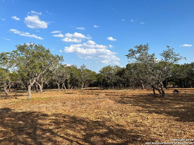 235 West Cambridge Road Wimberley, TX 78676 - Photo 9 of 27 a view of basketball court