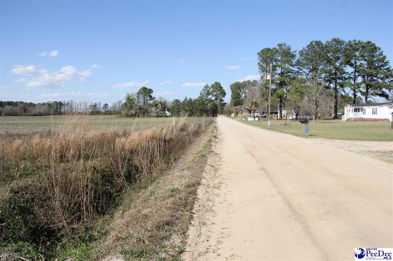 Tbd Tbd Country Manor Road Lamar, SC 29069 - Photo 3 of 3 Gallery Image 3