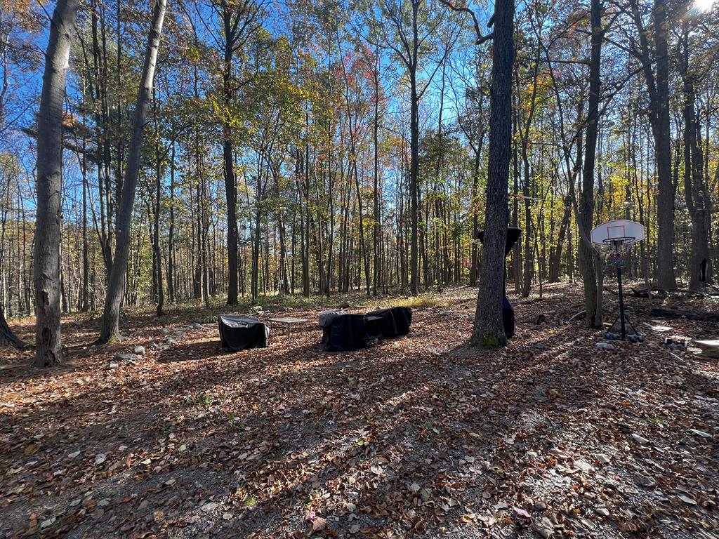 18470 Raystown Road James Creek, PA 16657 - Photo 10 of 16 Gallery Image 10