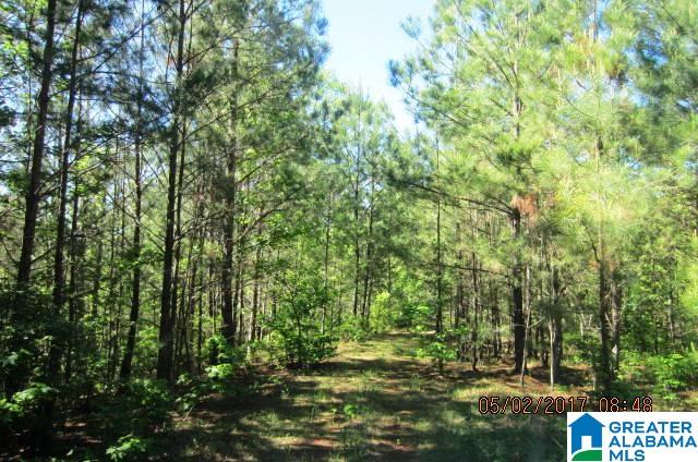 82-acres Creed Road, Unit 82 ACRES Lineville, AL 36266 - Photo 11 of 20