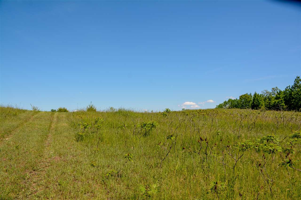 Carroll Road Traverse City, MI 49686 - Photo 9 of 10 1866794-8.JPG