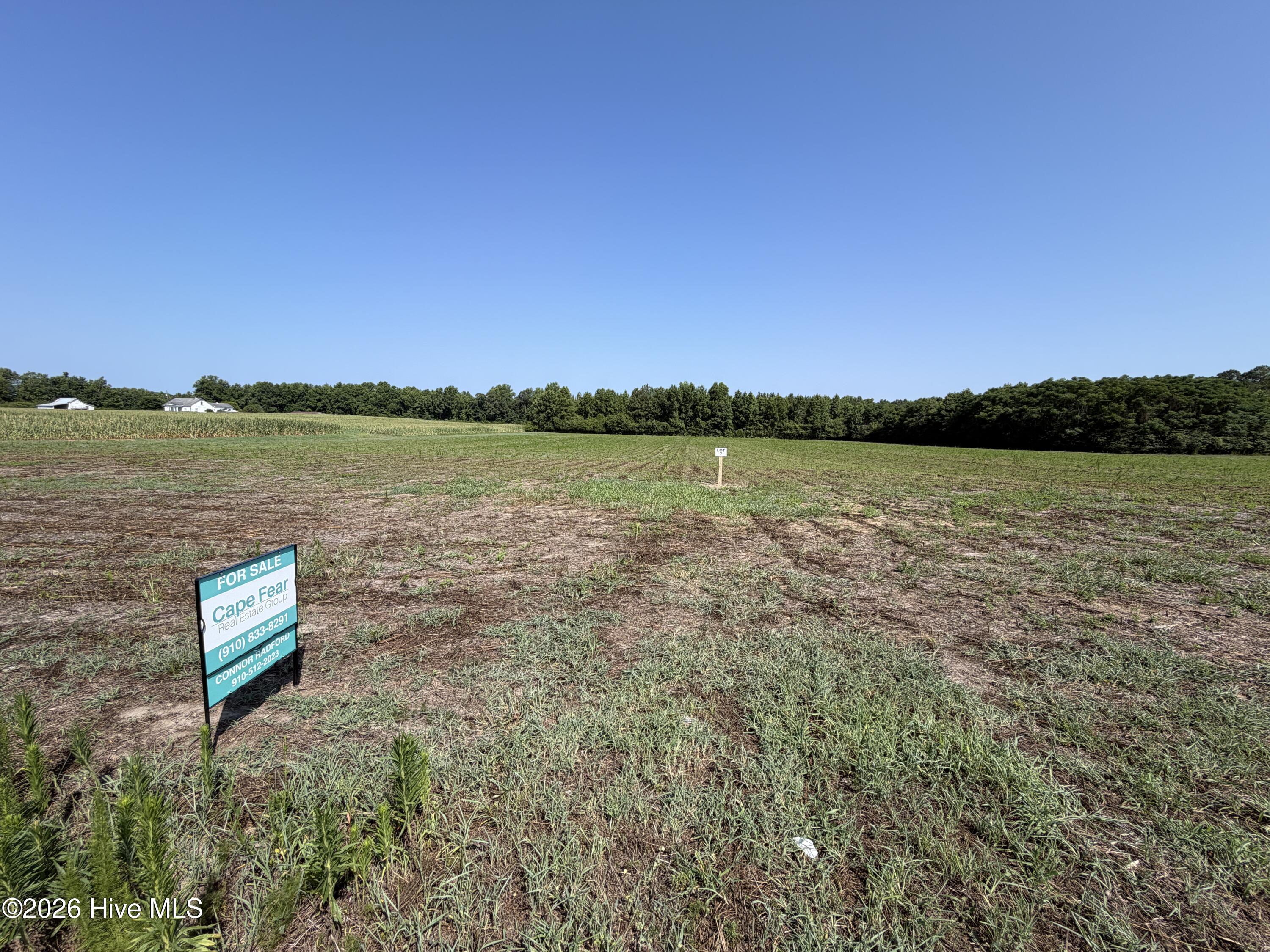 Lot 7 Point Caswell Road Willard, NC 28478 - Photo 7 of 7