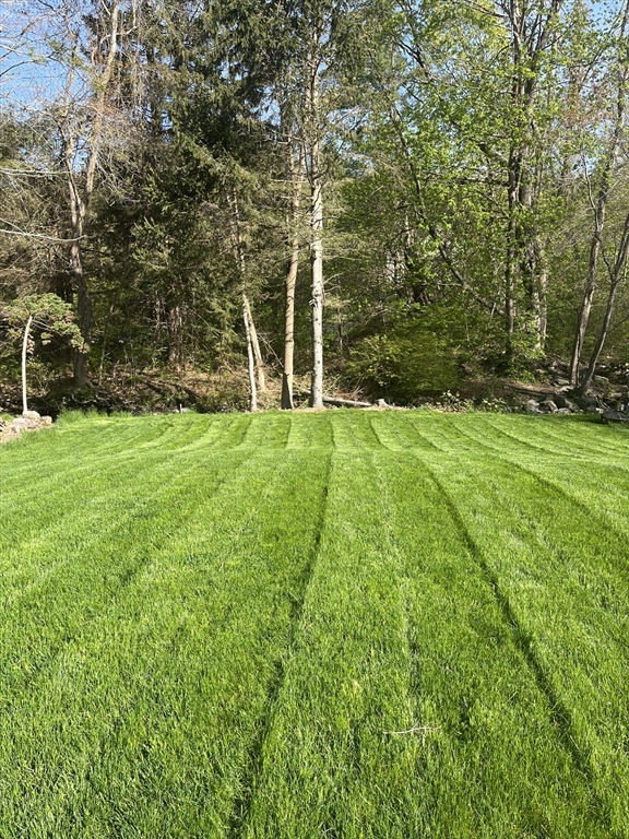140 Ames Street, Unit 1 Sharon, MA 02067 - Photo 15 of 16 a view of a field with a tree