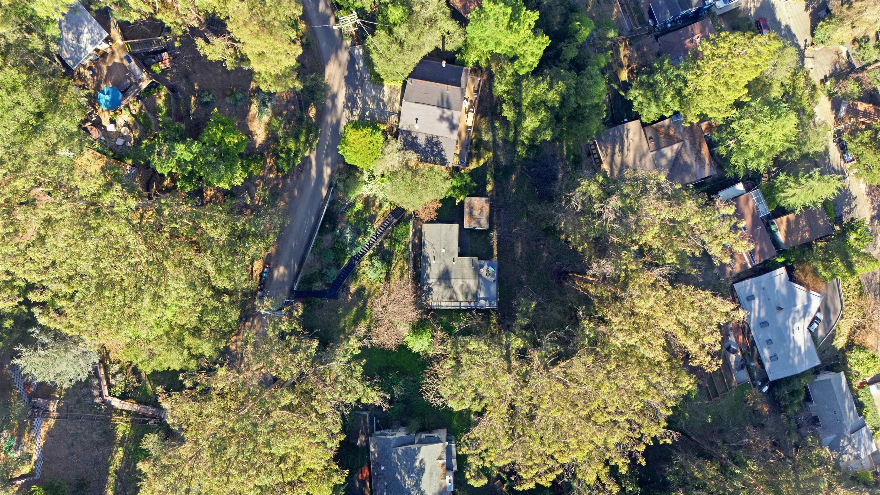 6416 Valley View Road Oakland, CA 94611 - Photo 50 of 58 a plant that is in a garden