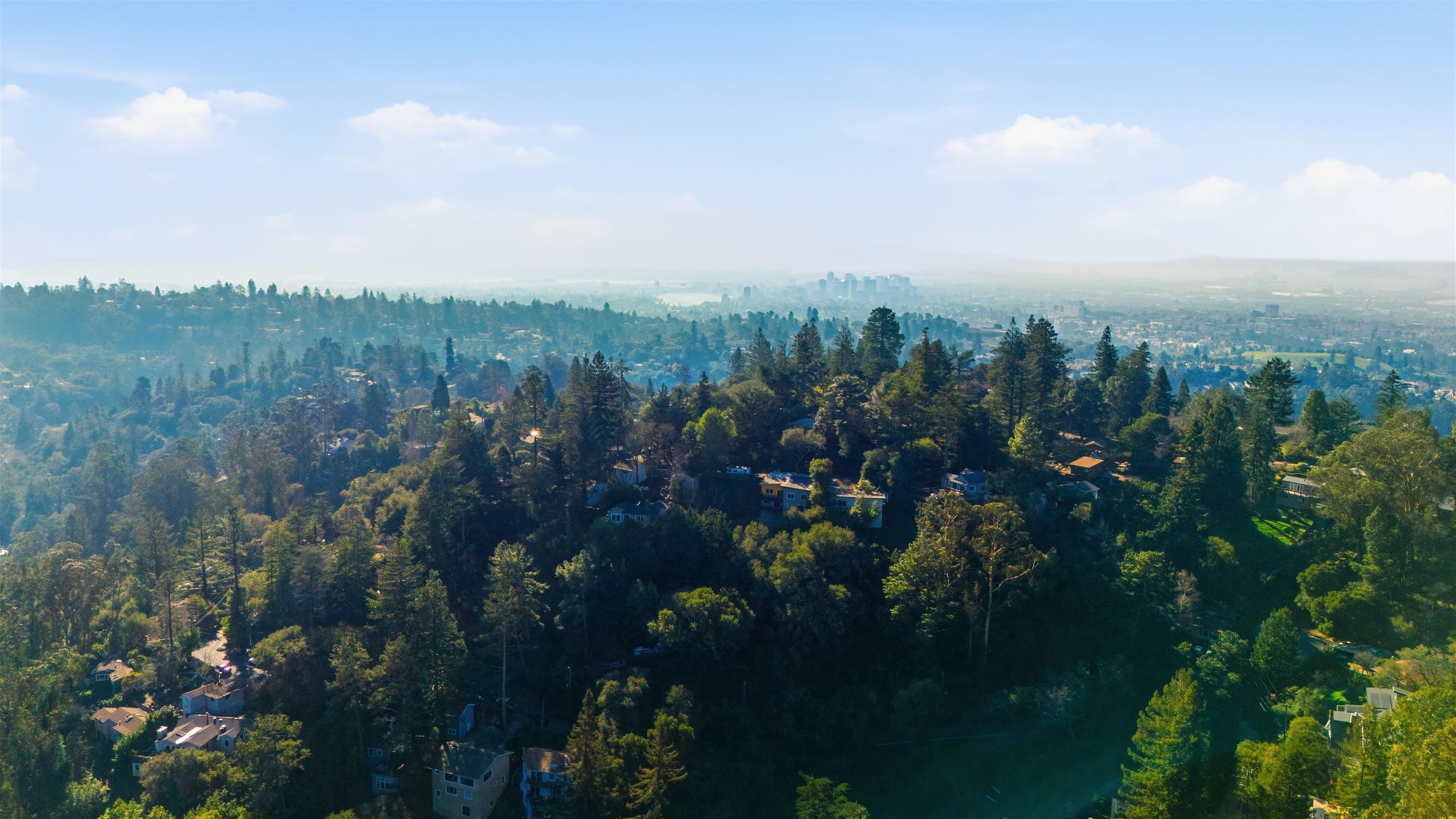 6416 Valley View Road Oakland, CA 94611 - Photo 51 of 58 a view of a city with lush green forest