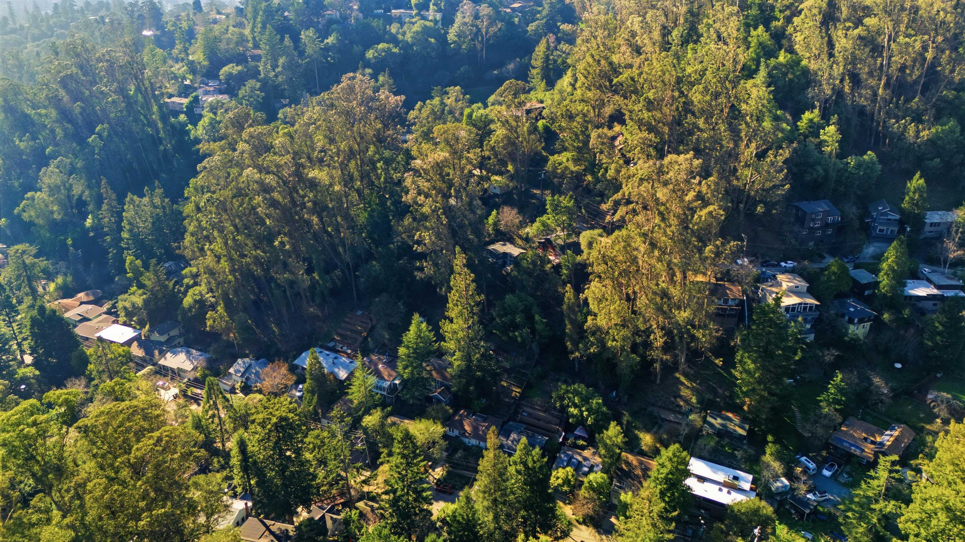 6416 Valley View Road Oakland, CA 94611 - Photo 52 of 58