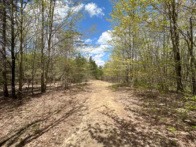 $575,000 | 5320 East 18 Road, Manton, MI 49663