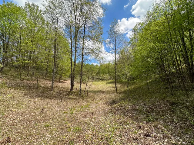 $575,000 | 5320 East 18 Road, Manton, MI 49663