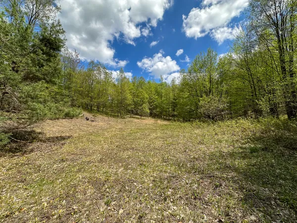 $500,000 | 5320 East 18 Road, Manton, MI 49663