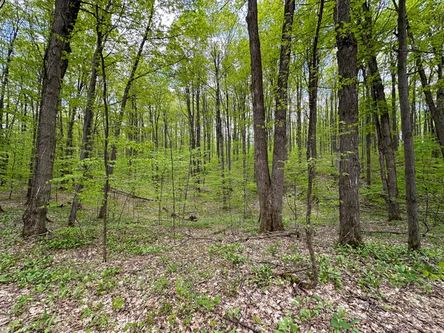 $575,000 | 5320 East 18 Road, Manton, MI 49663