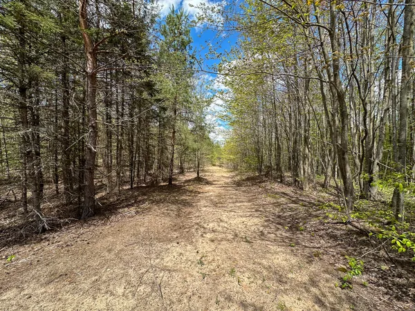 $500,000 | 5320 East 18 Road, Manton, MI 49663