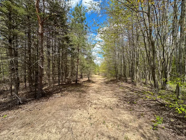 $575,000 | 5320 East 18 Road, Manton, MI 49663