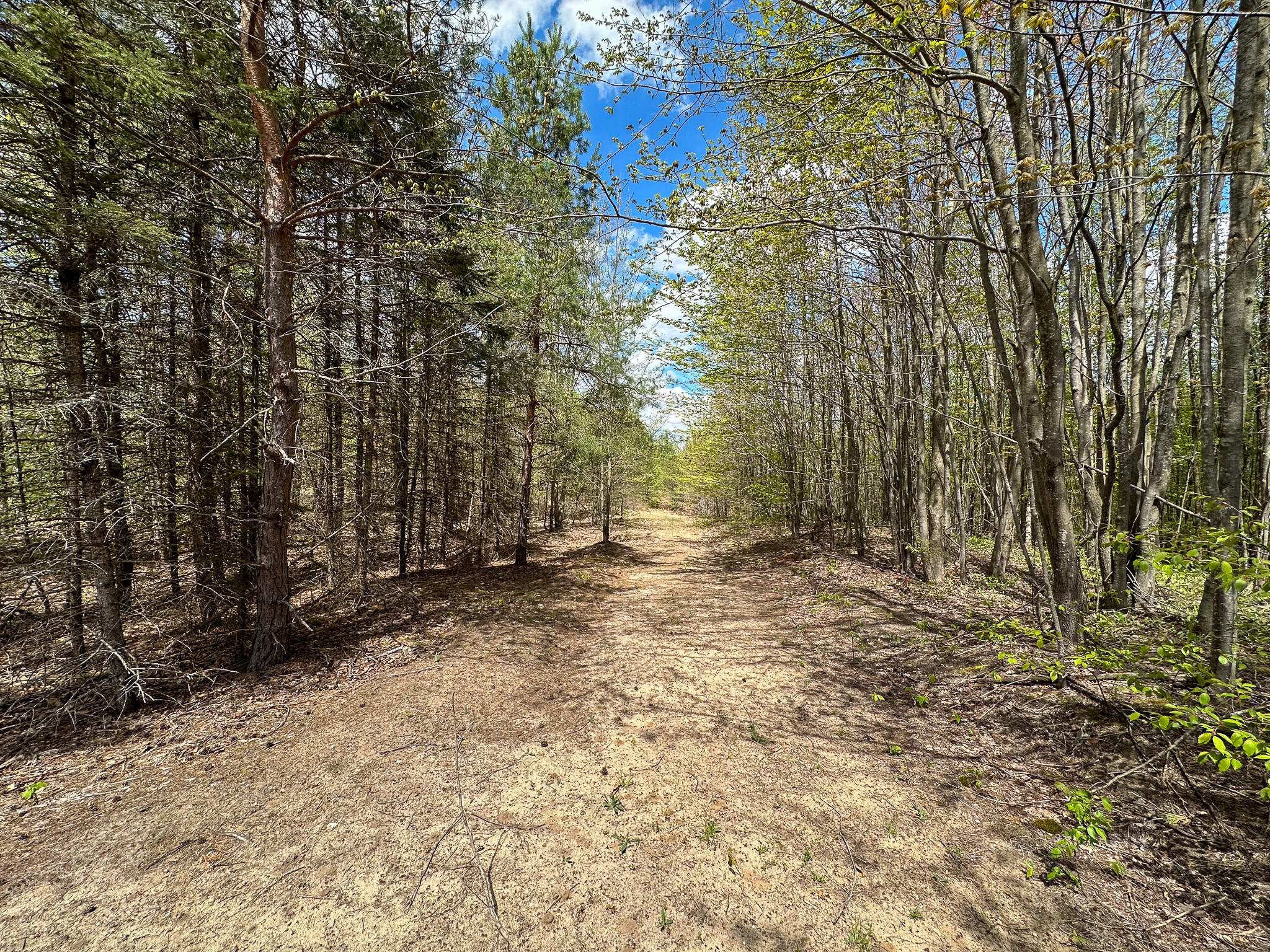 5320 East 18 Road Manton, MI 49663 - Photo 48 of 57 Trail 1