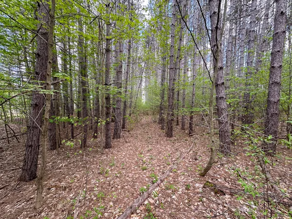 $500,000 | 5320 East 18 Road, Manton, MI 49663