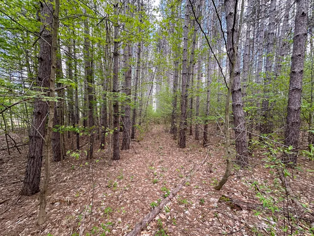 $575,000 | 5320 East 18 Road, Manton, MI 49663