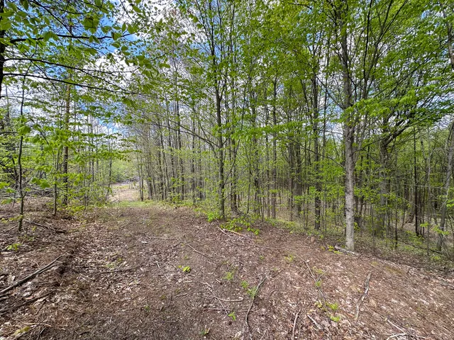 $575,000 | 5320 East 18 Road, Manton, MI 49663