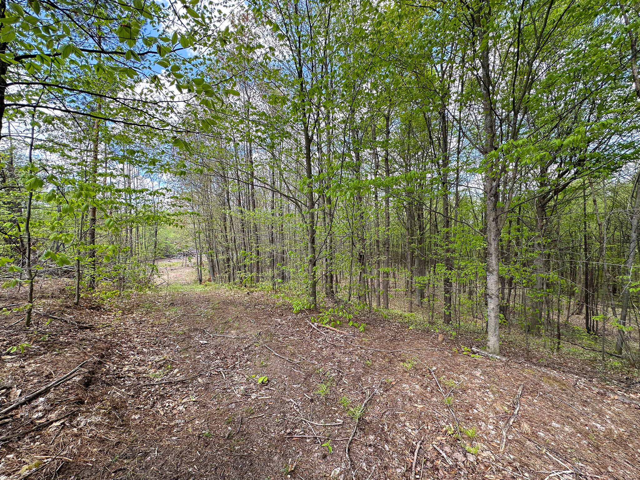 5320 East 18 Road Manton, MI 49663 - Photo 51 of 57 Trail 2