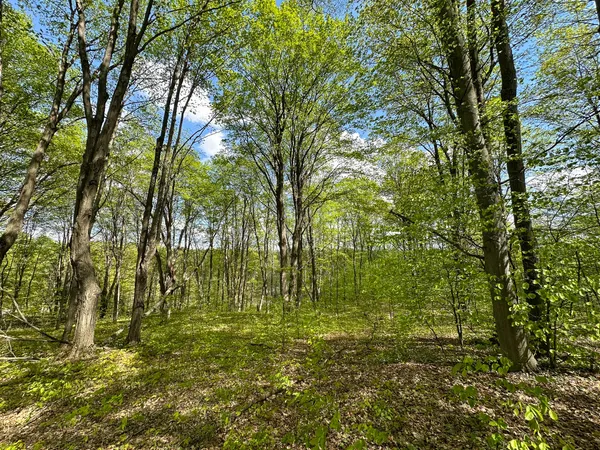 $500,000 | 5320 East 18 Road, Manton, MI 49663