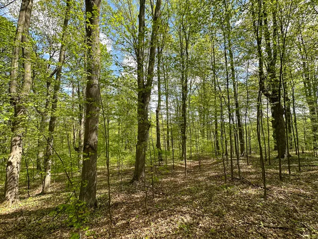 $575,000 | 5320 East 18 Road, Manton, MI 49663