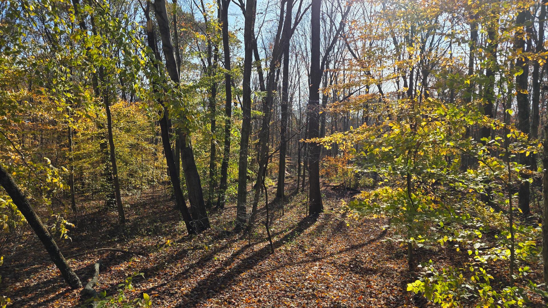 871 Poplar Ridge Road, Unit PONDS POPLAR RIDGE TRACT 13) Gallipolis, OH 45631 - Photo 16 of 36 CT-16