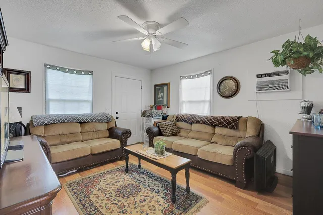 a living room with furniture and a couch