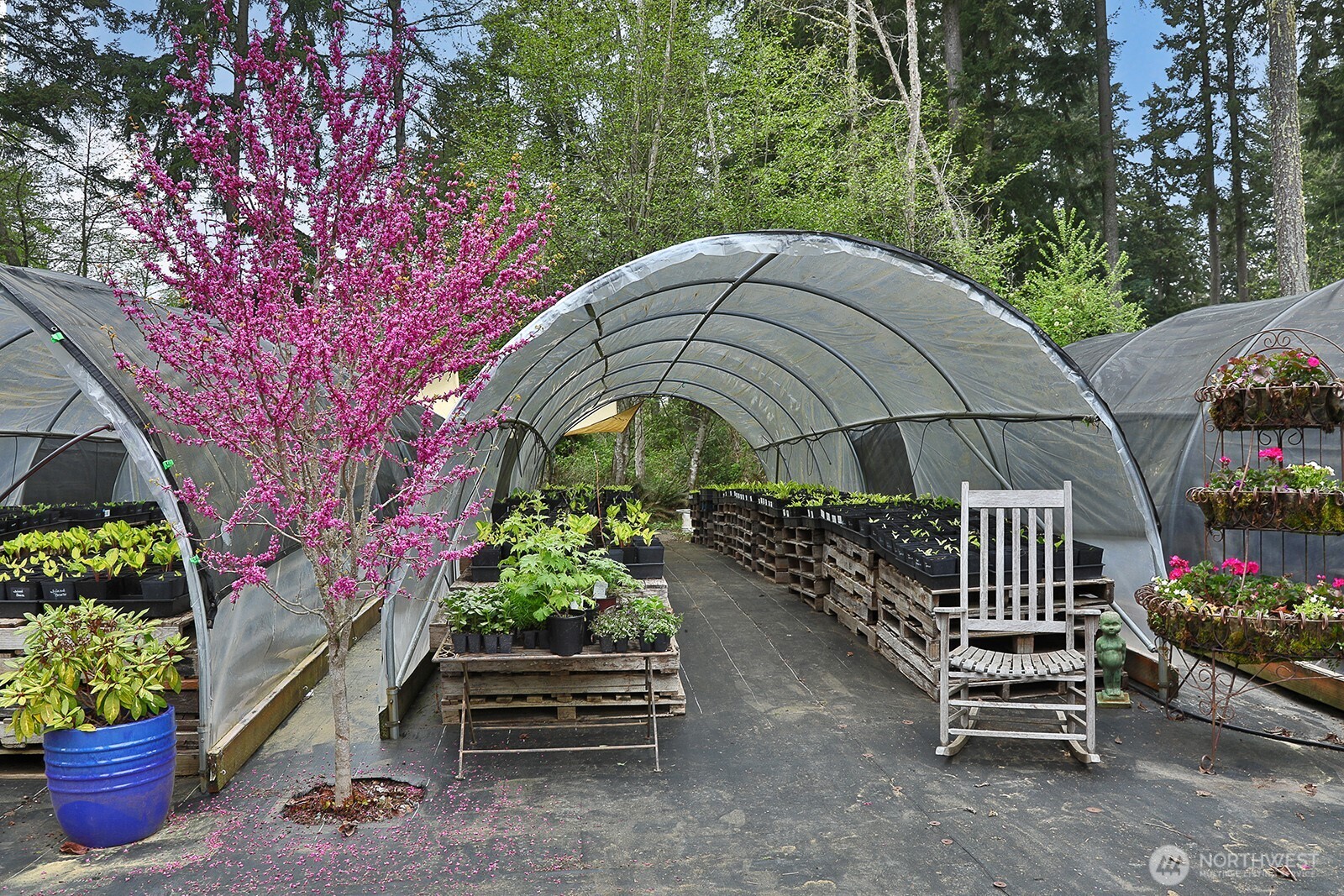 6545 Cultus Bay Road Clinton, WA 98236 - Photo 31 of 40
