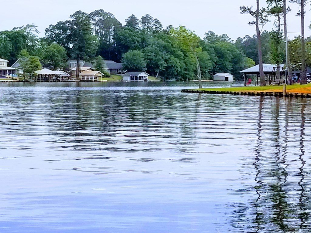 0 Sandy Landing Road Andalusia, AL 36421 - Photo 5 of 8