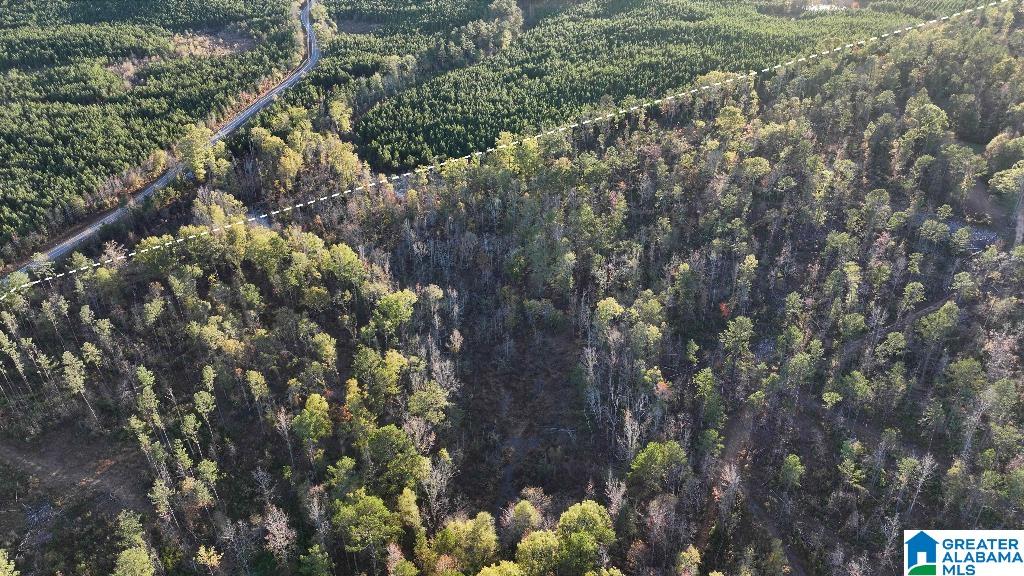 200 Kelly Creek Road Odenville, AL 35120 - Photo 25 of 47